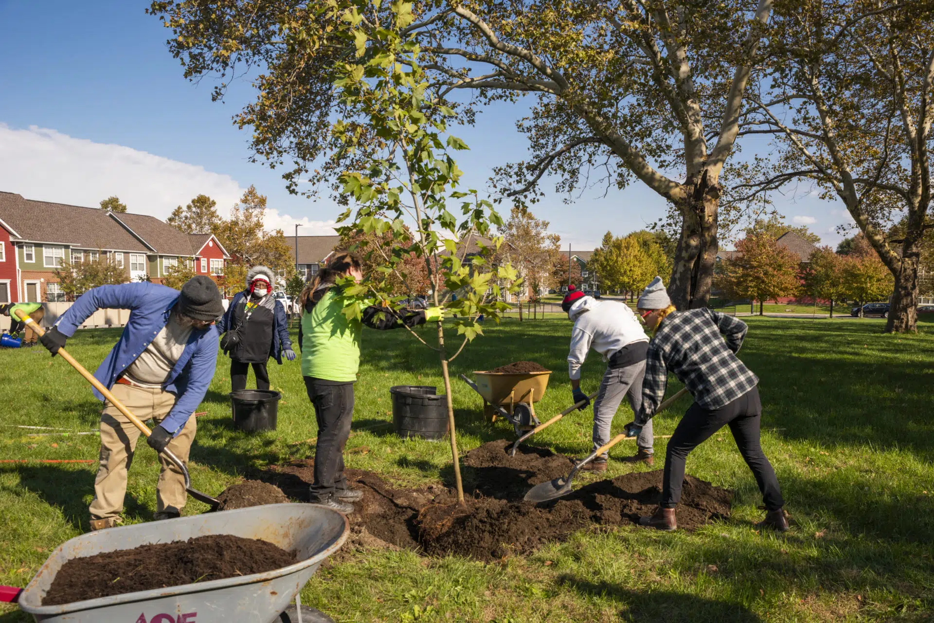 People for Trees