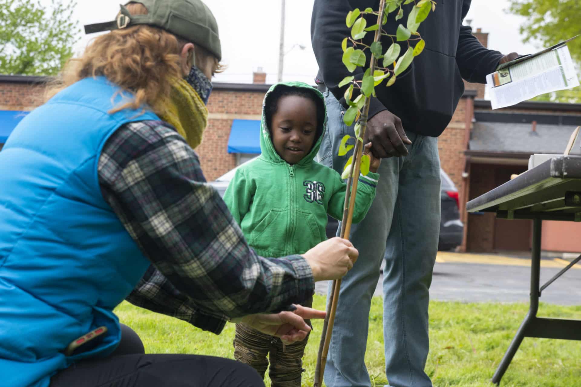 Tree Giveaway