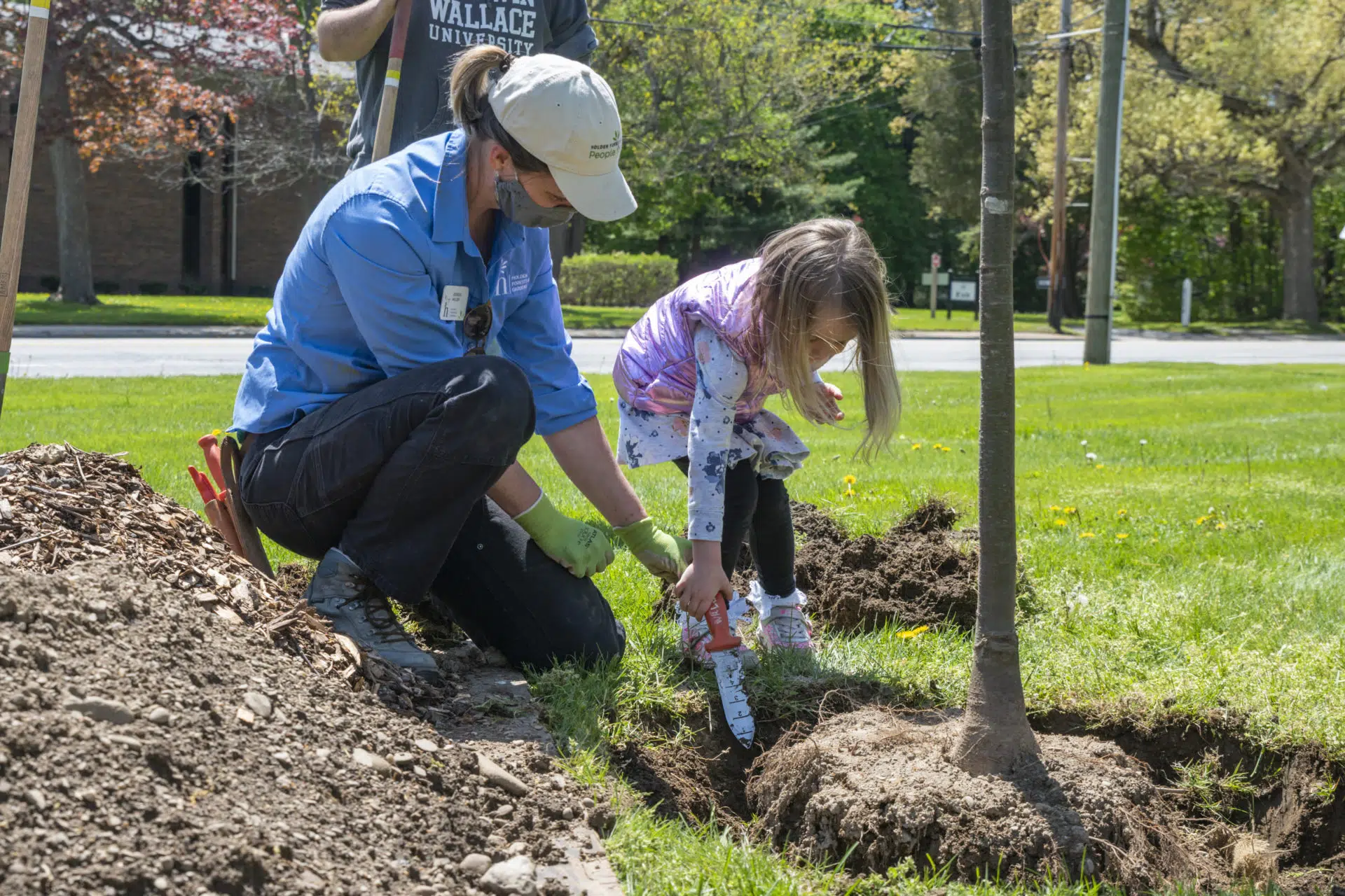 Planting a tree