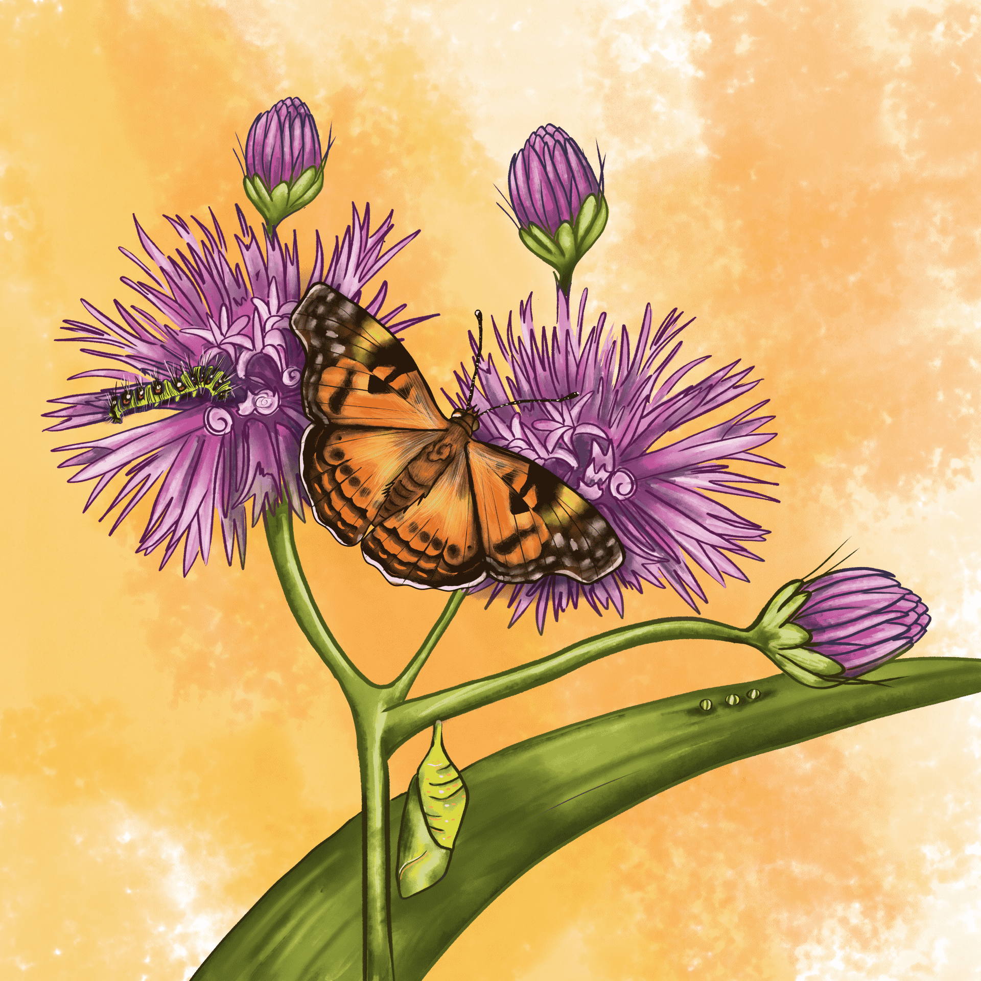 Prairie ironweed & American Lady