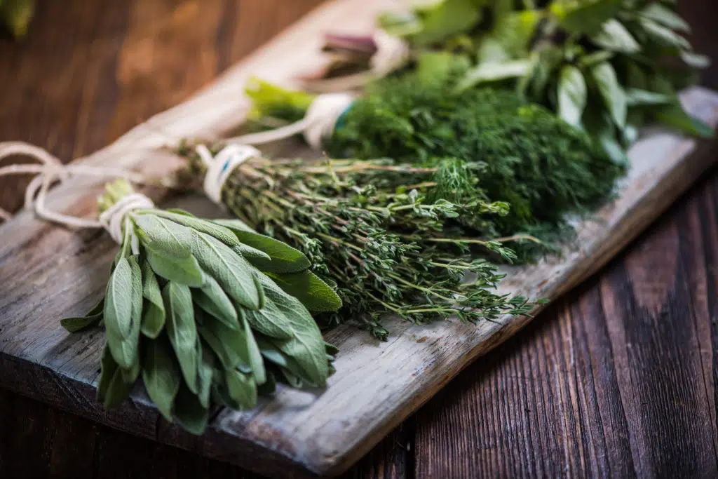 Essential Herb Garden Experiences