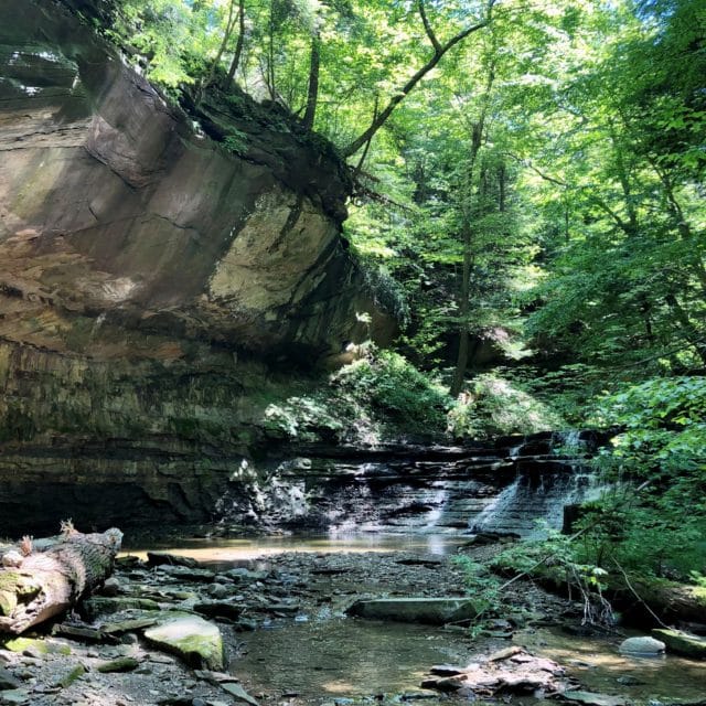 Stebbins Gulch