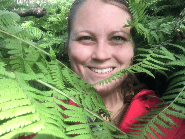 Lip Sumac-ing Good: Wonderful, and Edible Sumac » Evolutionary ecology,  Plants, Pollinators, Wildlife »Holden Forests & Gardens