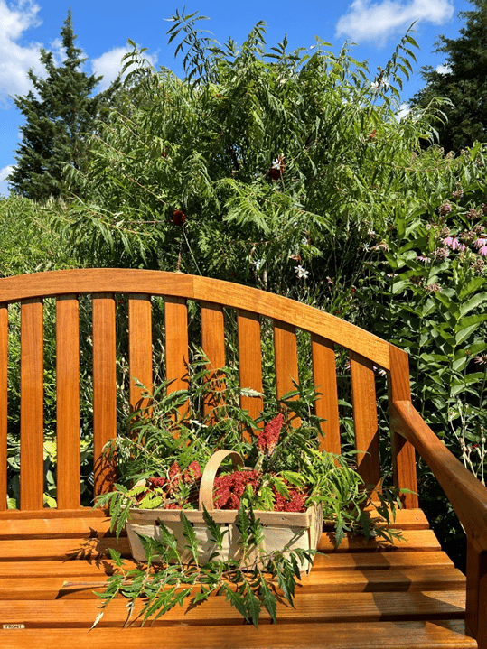 Lip Sumac-ing Good: Wonderful, and Edible Sumac » Evolutionary ecology,  Plants, Pollinators, Wildlife »Holden Forests & Gardens