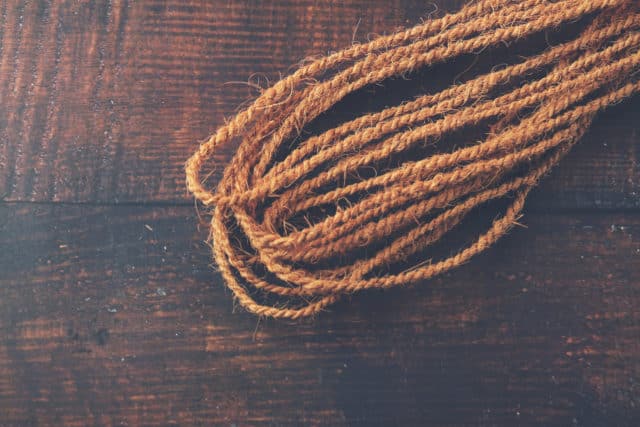 Wildcrafting Cordage