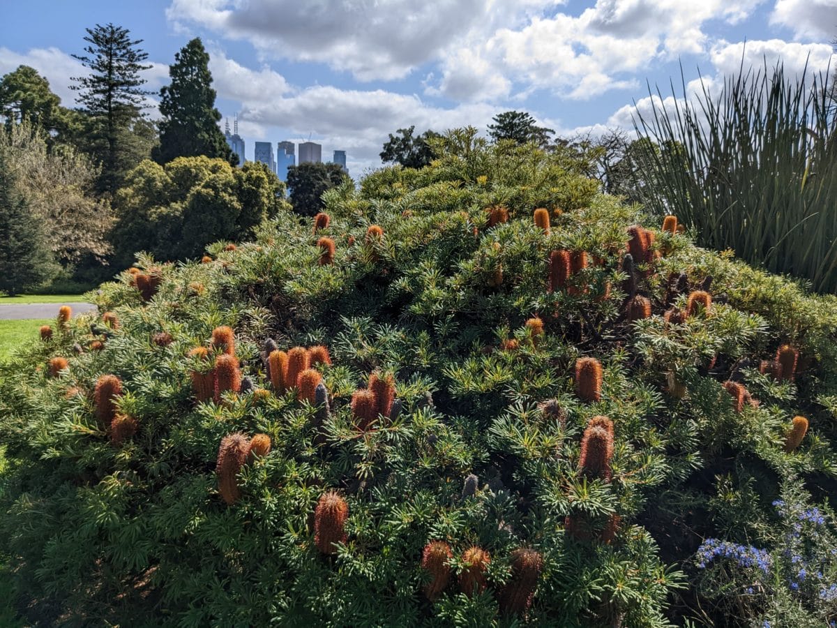 An Inside Look at the Global Botanic Gardens Congress » Plants » HF&G