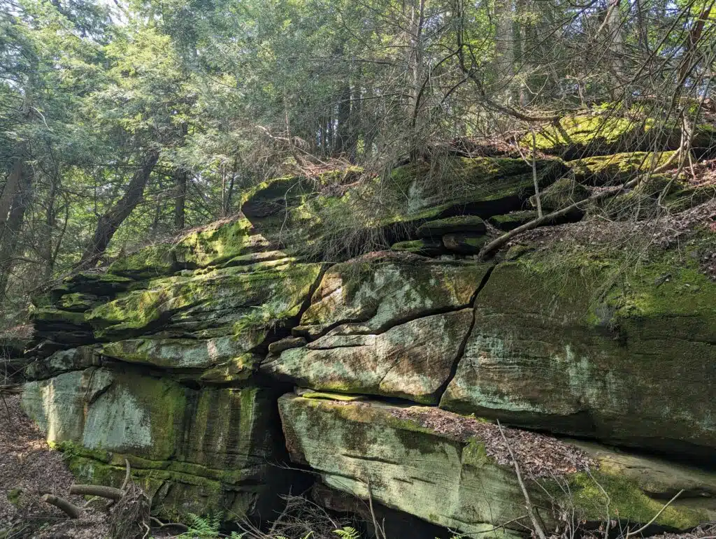 Magnificence on the Mountain: Little Mountain Hike