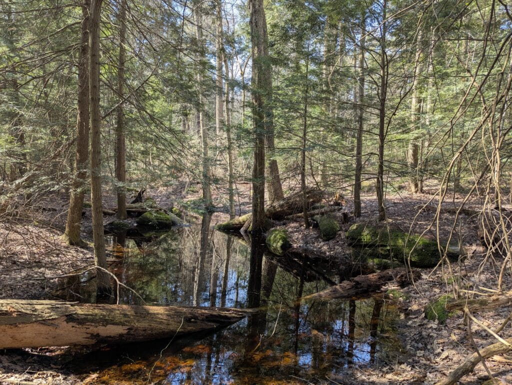 Magnificence on the Mountain Hike