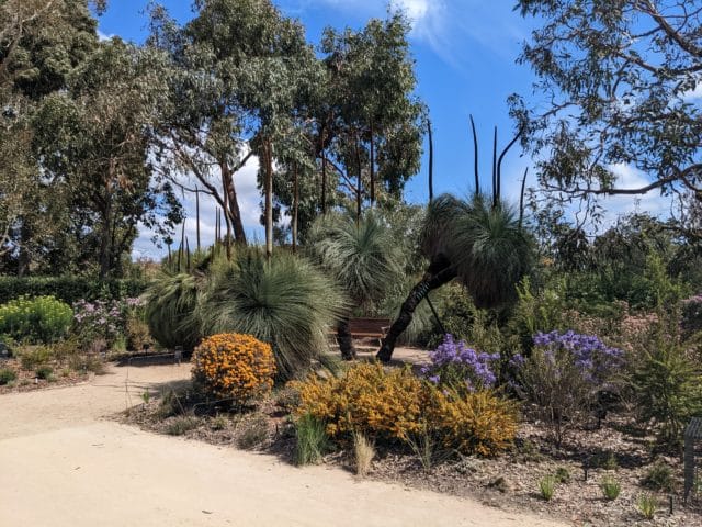 An Inside Look at the Global Botanic Gardens Congress