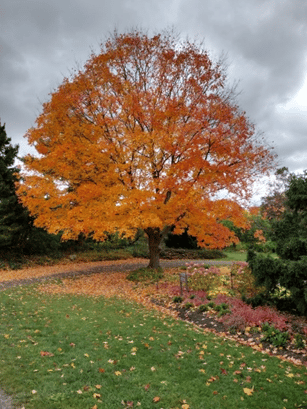 Fall Colors: Vermont We Aren't » Other » HF&G