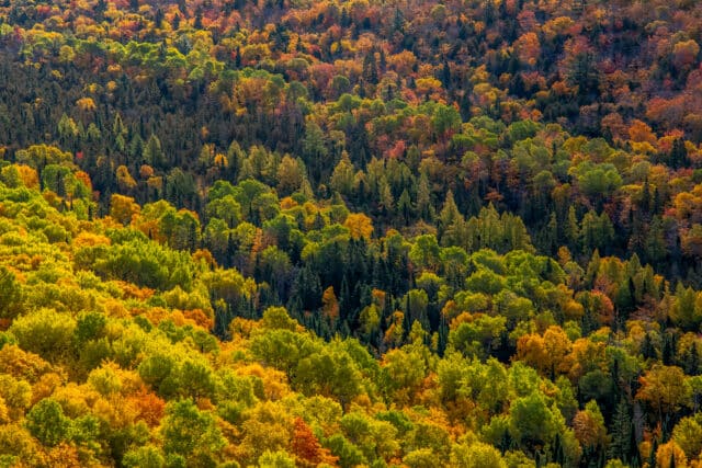 Fall Photography Workshop with Ian Adams