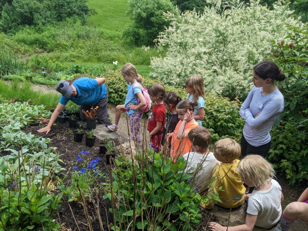 Garden MicroMix Camps