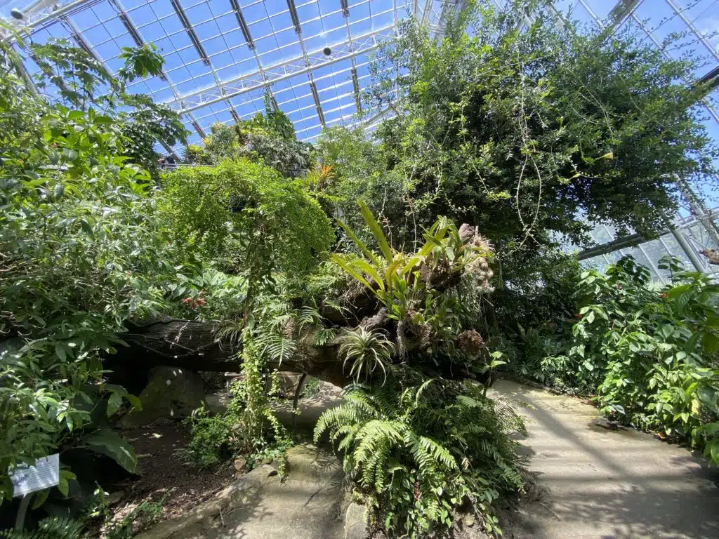 Martin Luther King Jr. Day