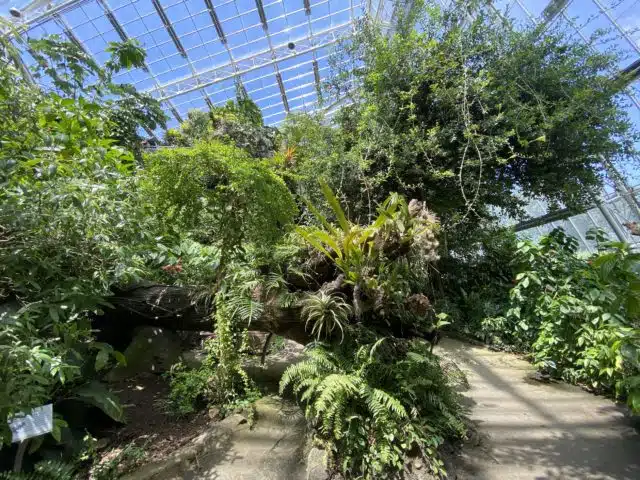 Martin Luther King Jr. Day