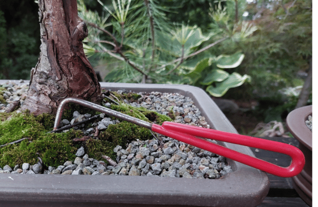 To Plant or Not to Plant? The Low-Down on Fabric Containers » Other »Holden  Forests & Gardens