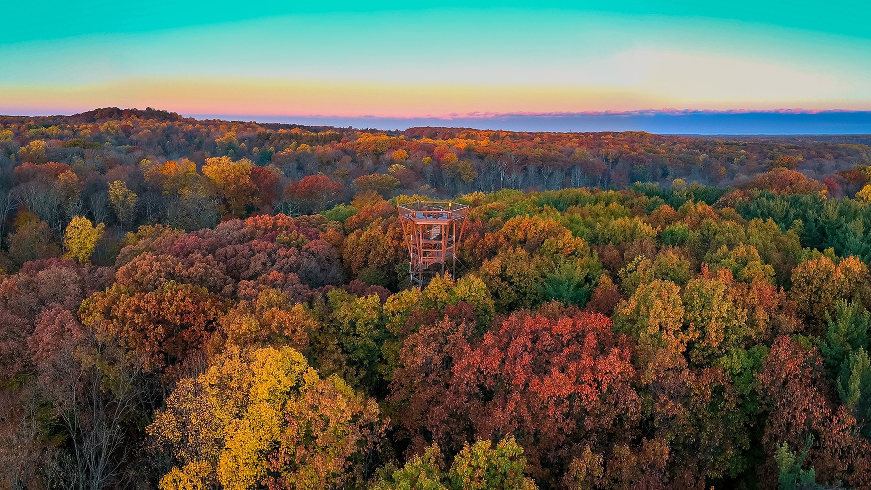 arboretum tour