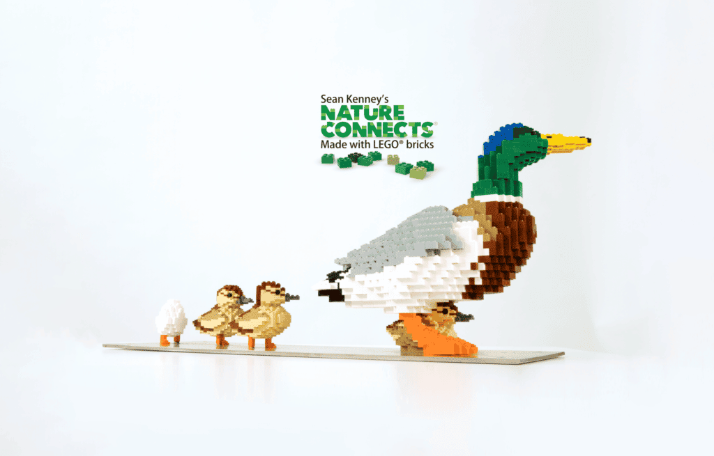 Sean Kenney’s Nature Connects