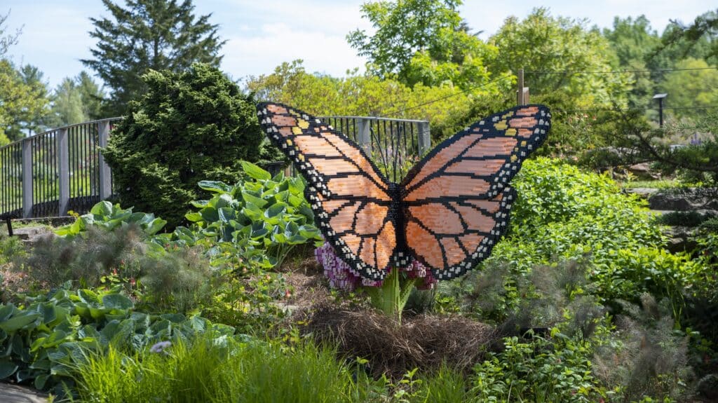 Sean Kenney’s Nature Connects
