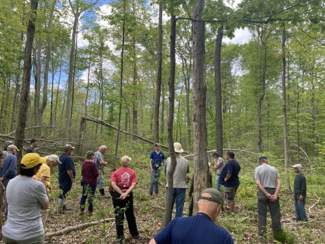 Working Woods Field Day