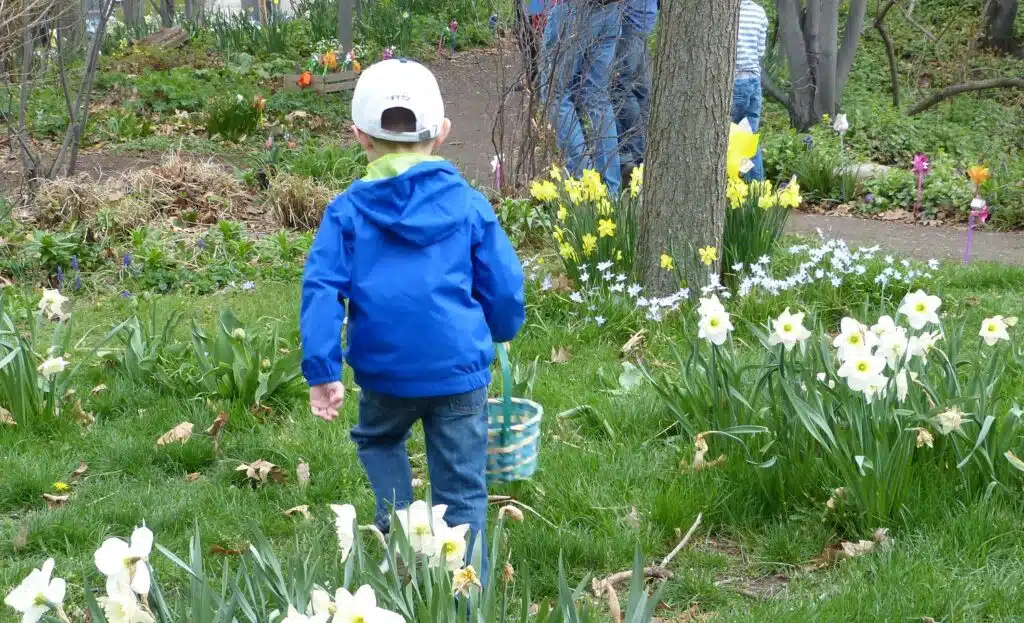 Spring Egg Hunt