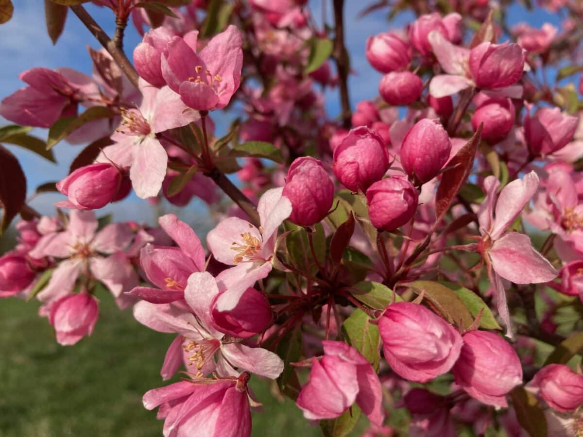 It's Poppin': April 28th » Other » HF&G