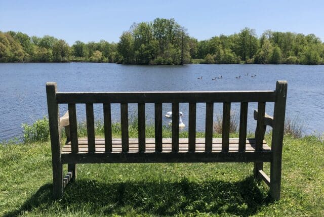33 Splendid Bench Views at the Holden Arboretum