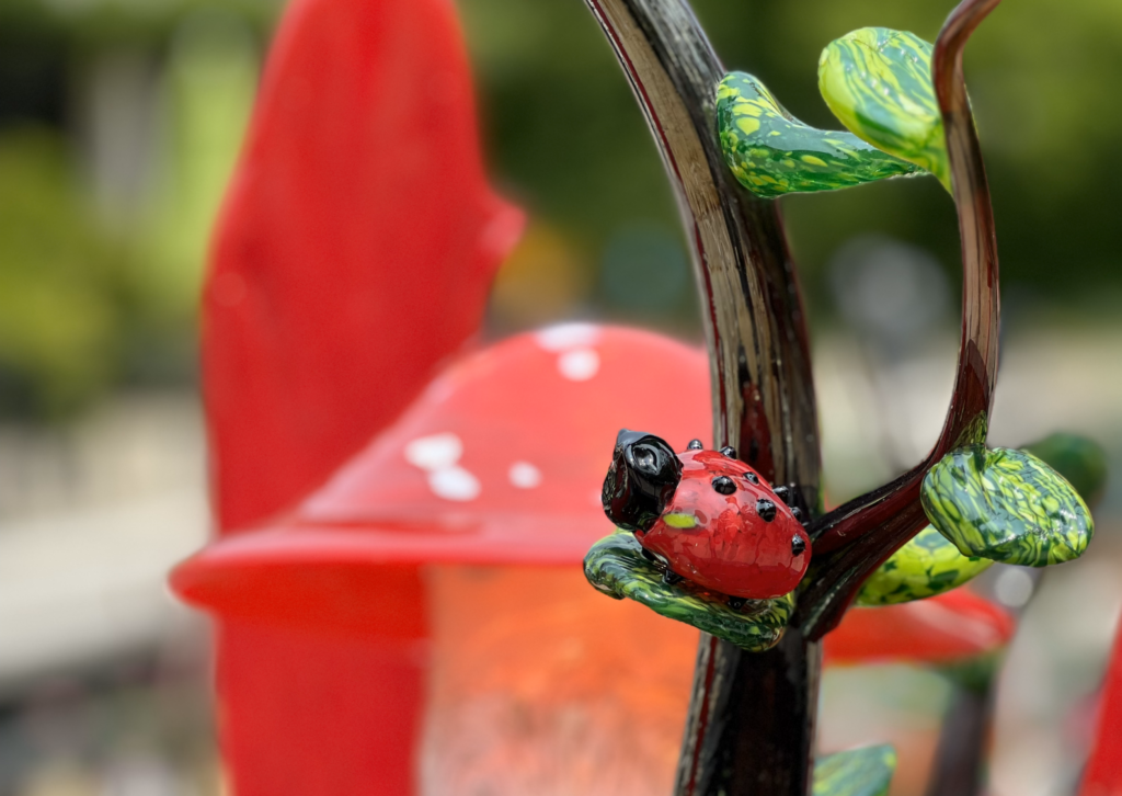 Bloomin’ Glass Botanicals