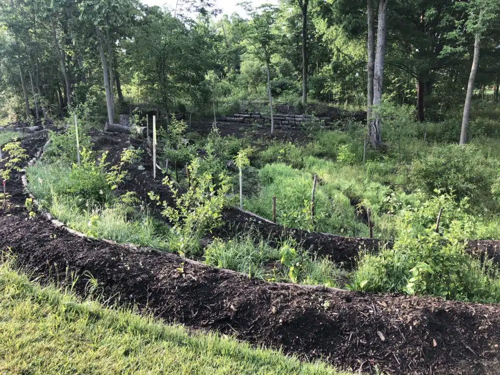 First Fridays Garden Tours