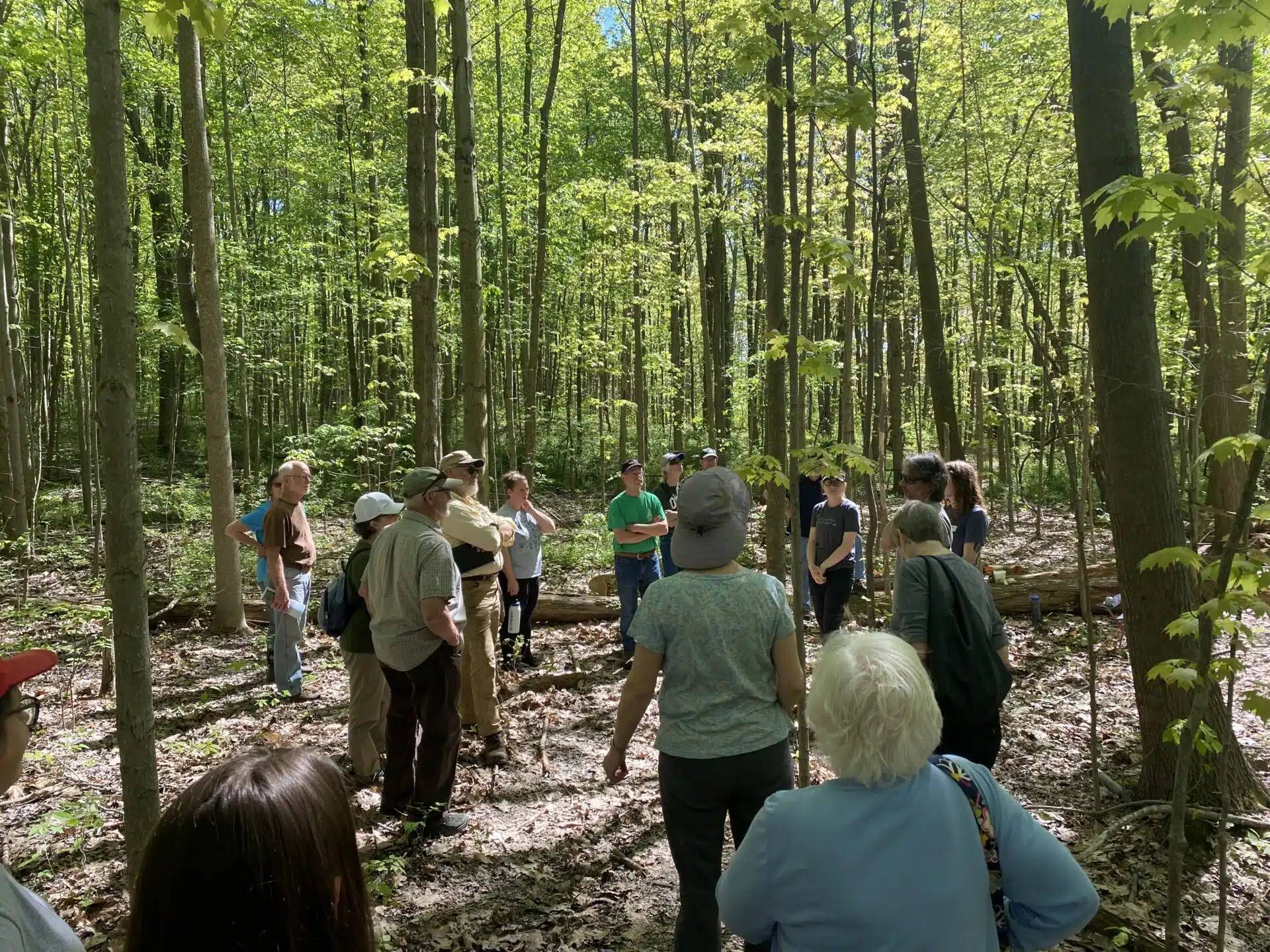 Small Woodland Management Manual