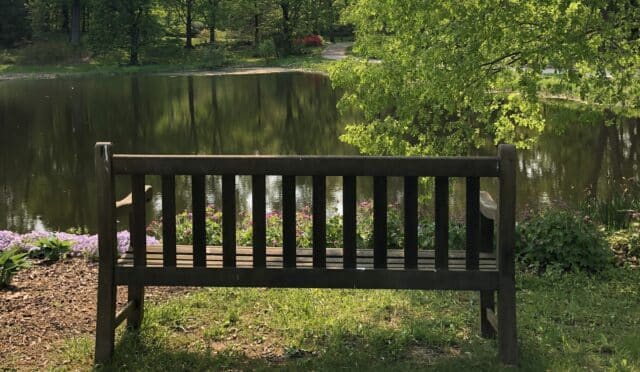 Logsdon Pond: A Story of Giving