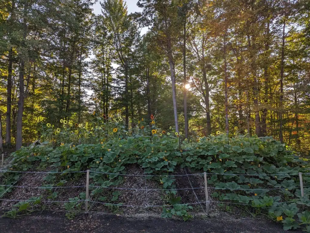 First Fridays Garden Tours