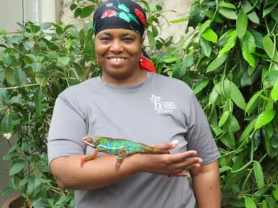 Traci S. Williams