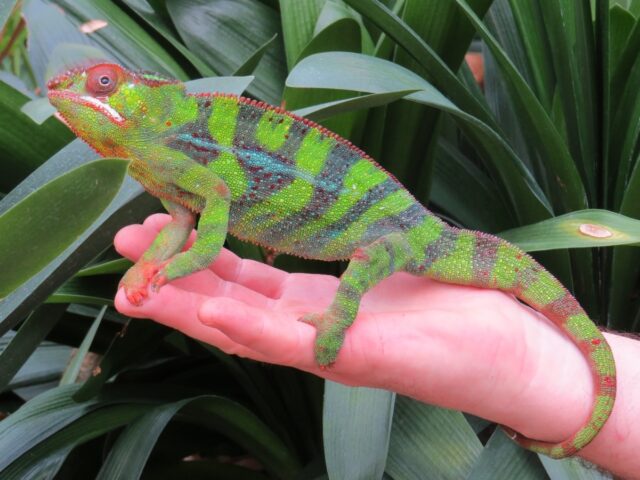 Matt Edwards & Traci Williams