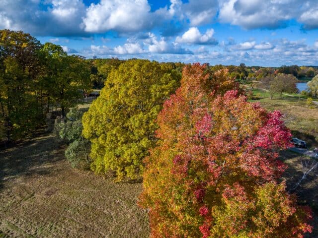 We’re the experts on all things autumn