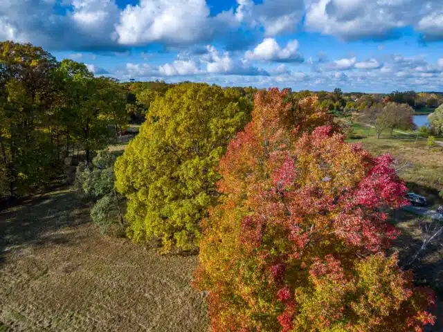 We’re the experts on all things autumn