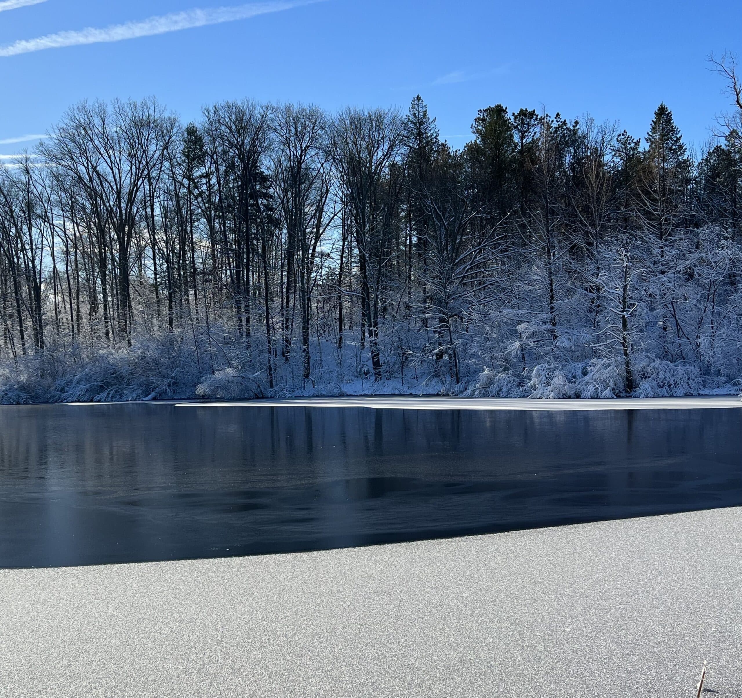 Winter Tree Care, Protection and Identification - Department of Lands