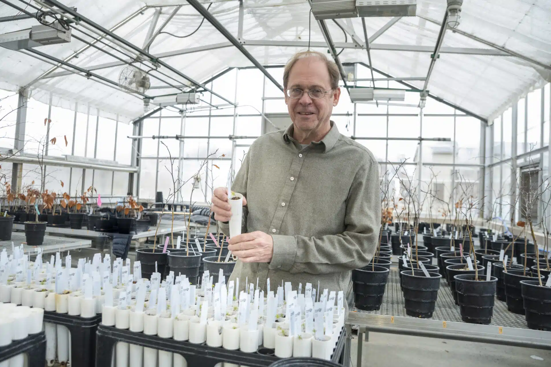 Dr. David Burke