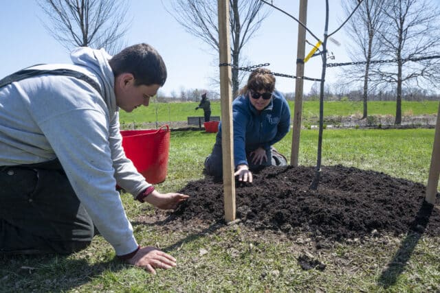 Holden Arboretum and Cleveland Botanical Garden Celebrate Arbor Day with FREE Admission, Tree Seedling Giveaway, & More
