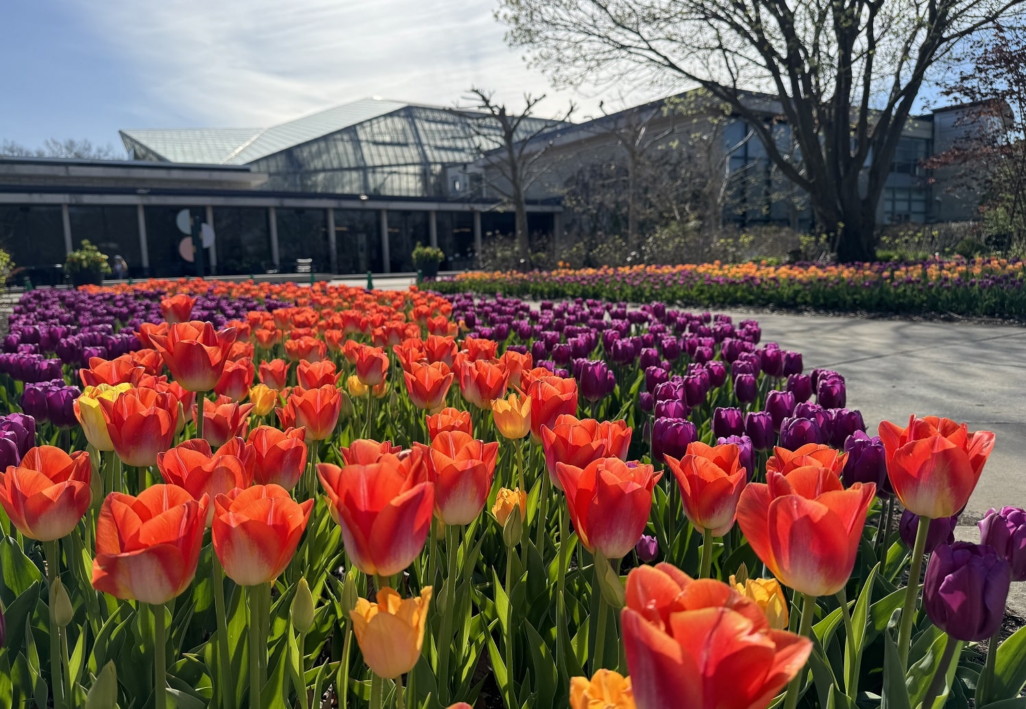 Cleveland Botanical Garden