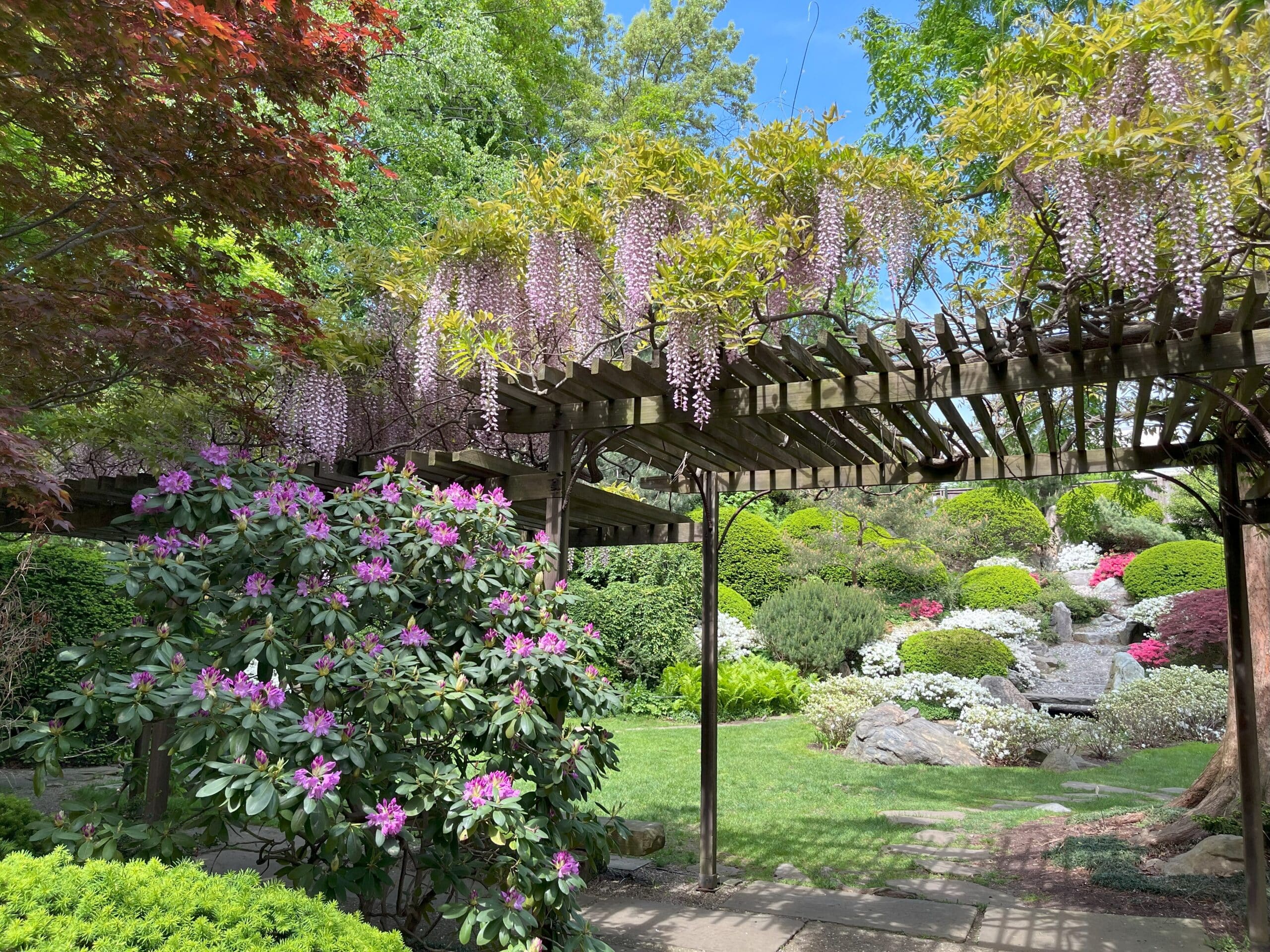 Cleveland Botanical Garden Rings in Summer with Japanese Garden's