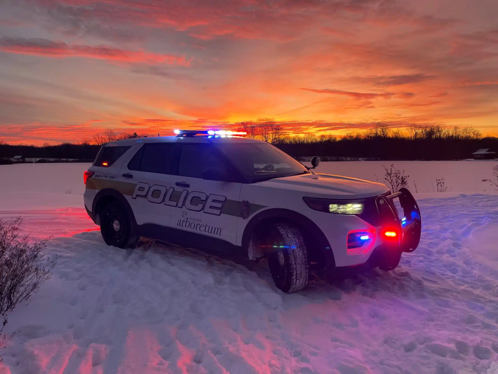 police car