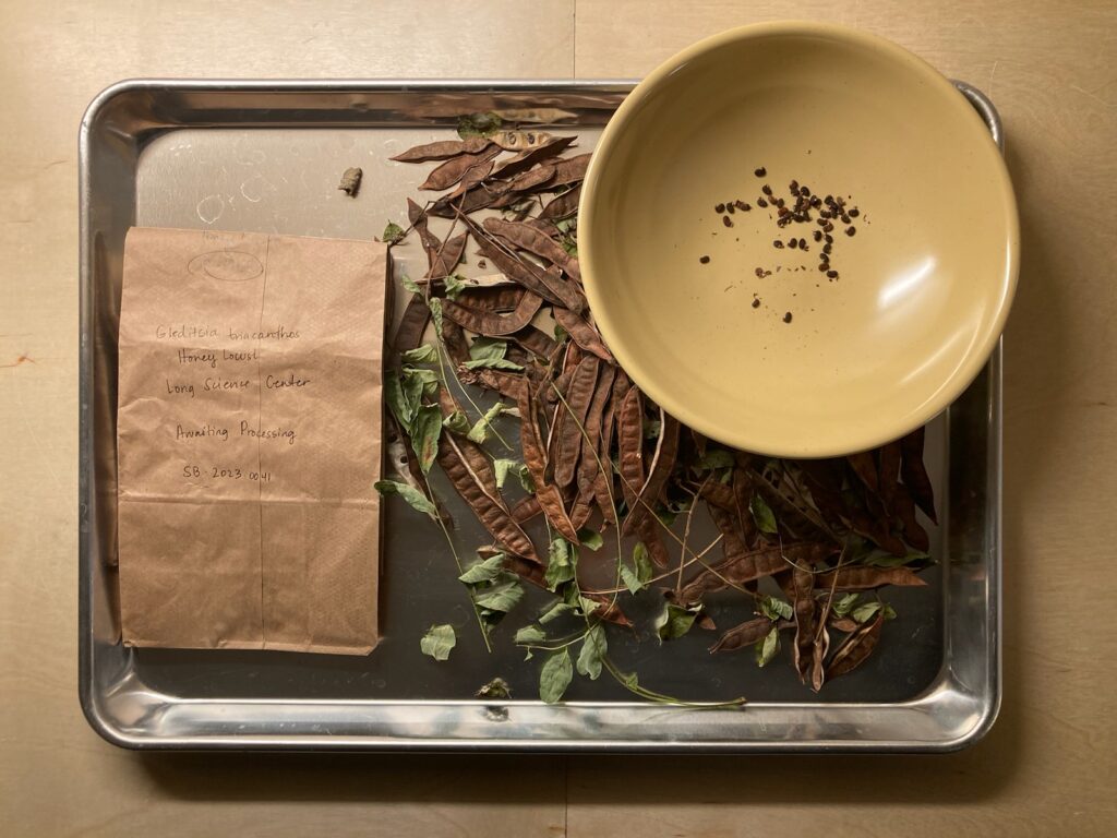 Lunch & Learn: Saving Seeds for Spring