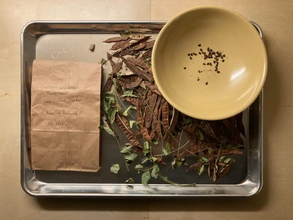 Lunch & Learn: Saving Seeds for Spring