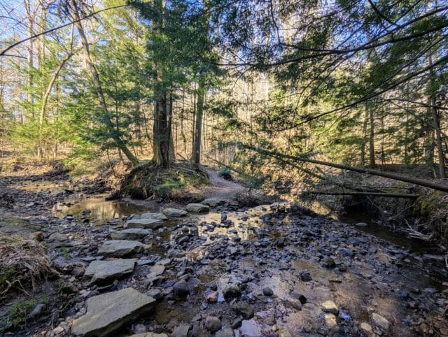 Pierson Creek Valley Hike