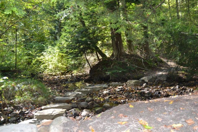 Pierson Valley Trails