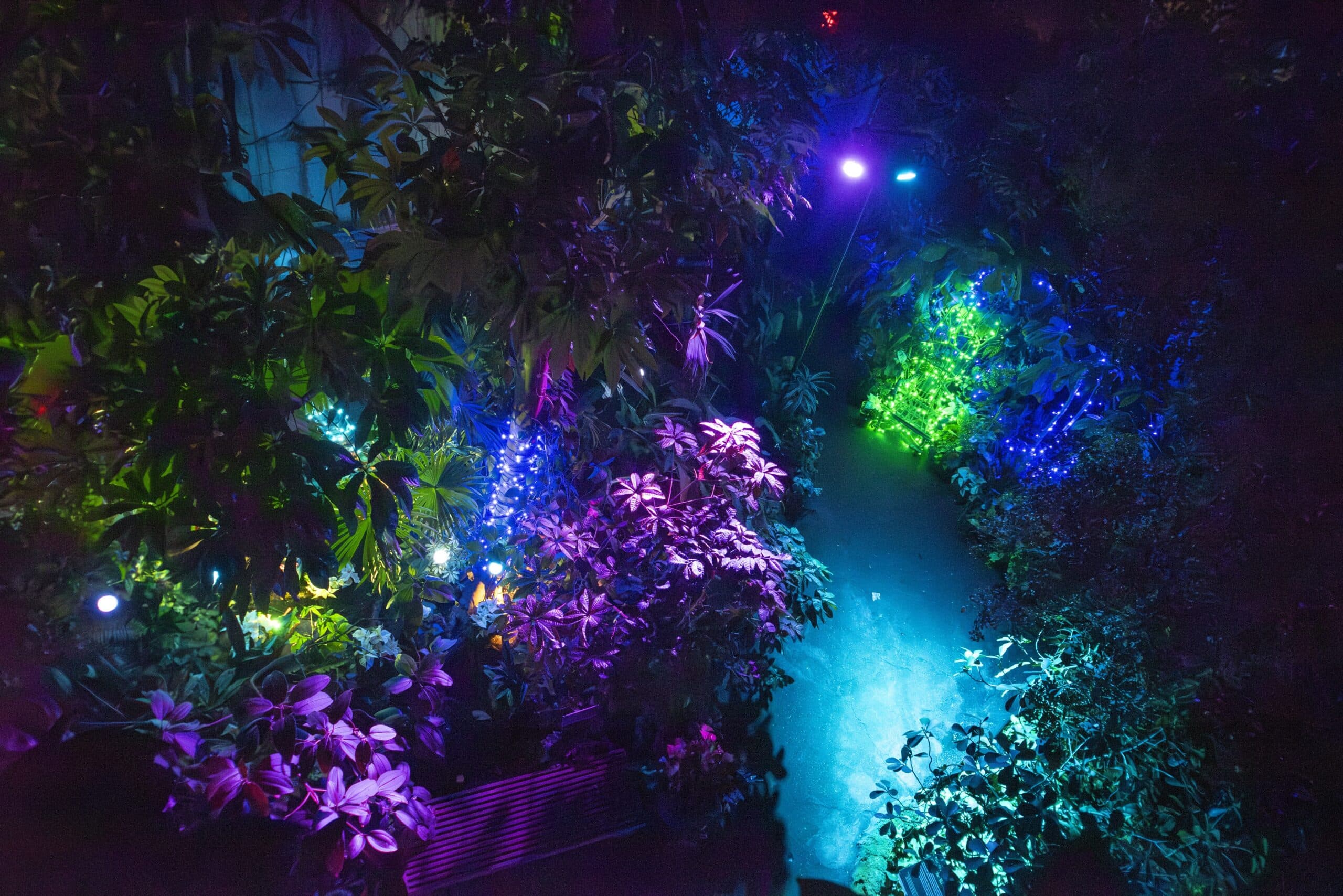 Frost at Cleveland Botanical Garden