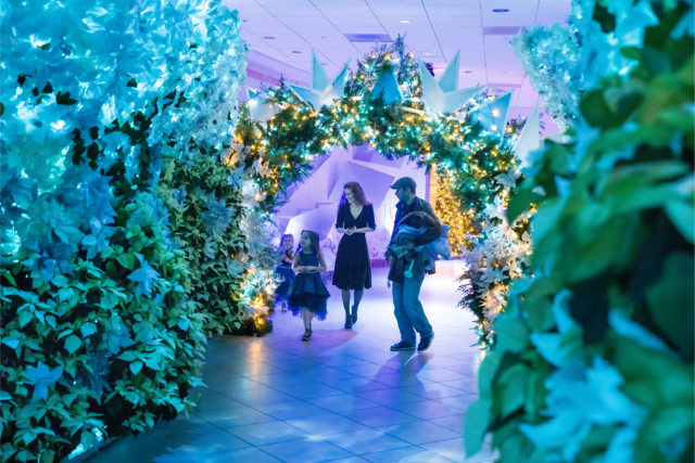 Frost: An Ice-Capped Garden Experience