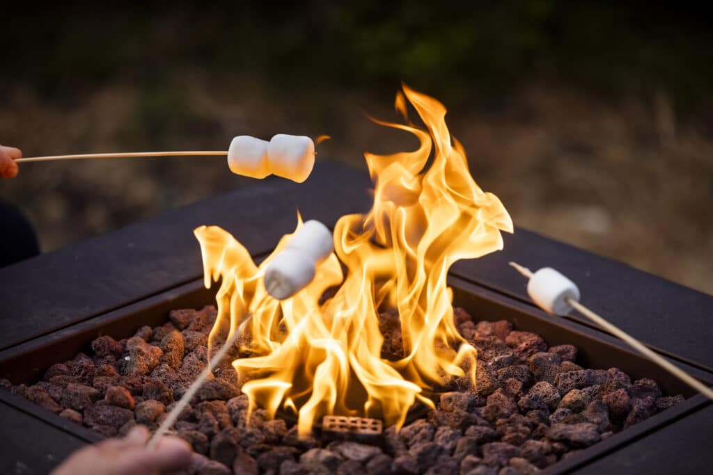 Marshmallow Roasting