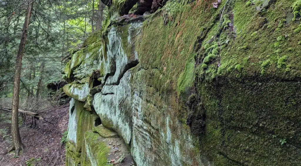 Peak Perspectives: Discovering Little Mountain Through Your Lens