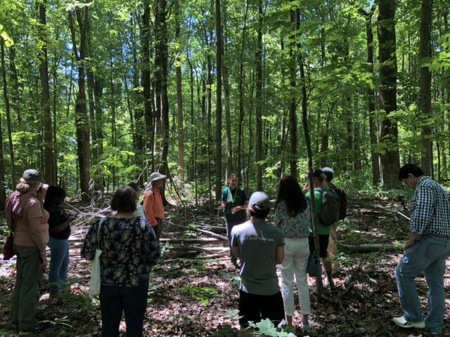 Tree Tours with Our Experts